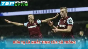 Búa tạ là khắc tinh của Gà Trống