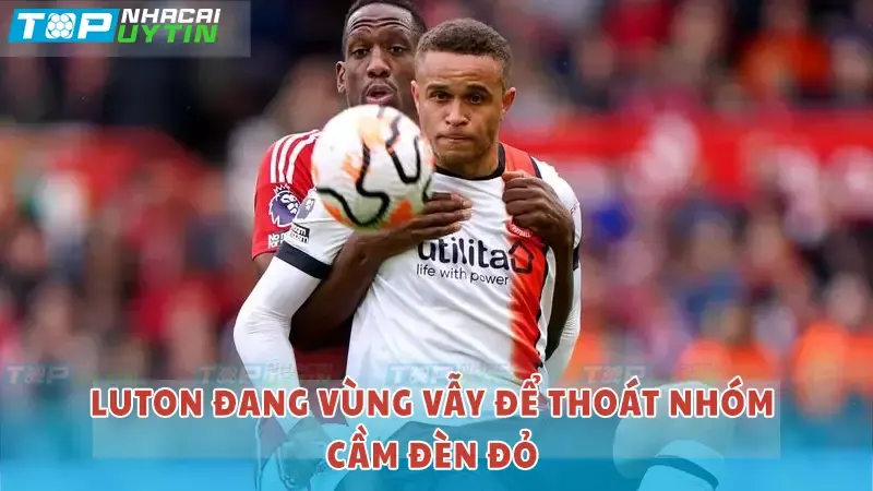 Nhận định trận Luton vs Nottingham 22h00 16/03/24 | EPL 7 Luton đang vùng vẫy thoát khỏi nhóm cầm đèn đỏ