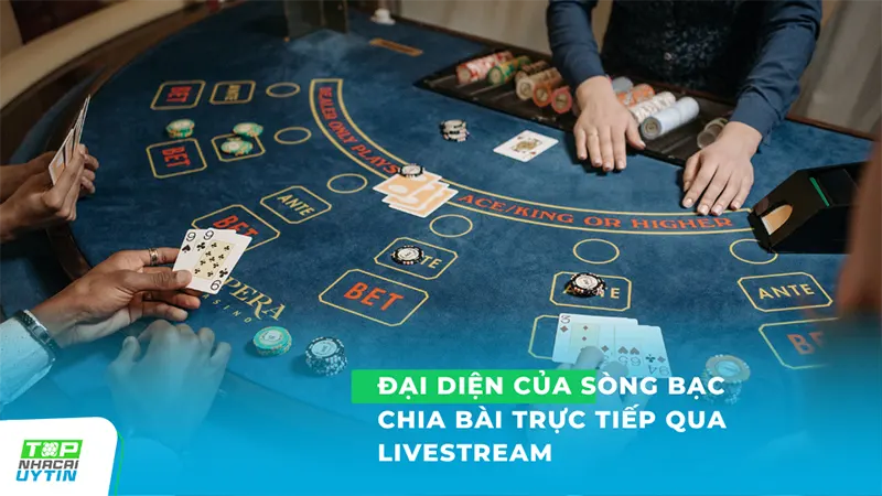 những đại diện của sòng bạc chia bài trực tiếp qua livestream