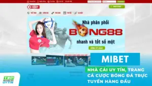 Mibet - Nhà cái uy tín, trang cá cược bóng đá trực tuyến hàng đầu