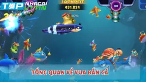 Tổng quan về Vua Bắn Cá