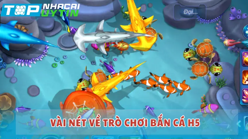 Vài nét về trò chơi Bắn Cá H5
